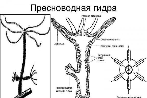 Ссылка на омг омг fb